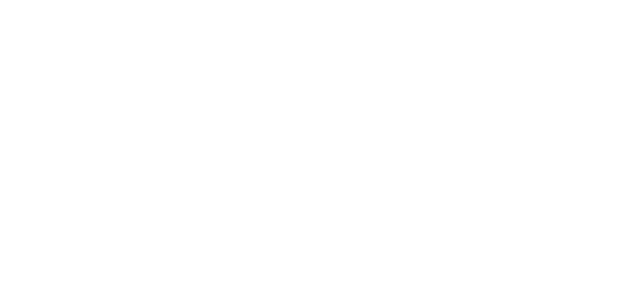 Apis It