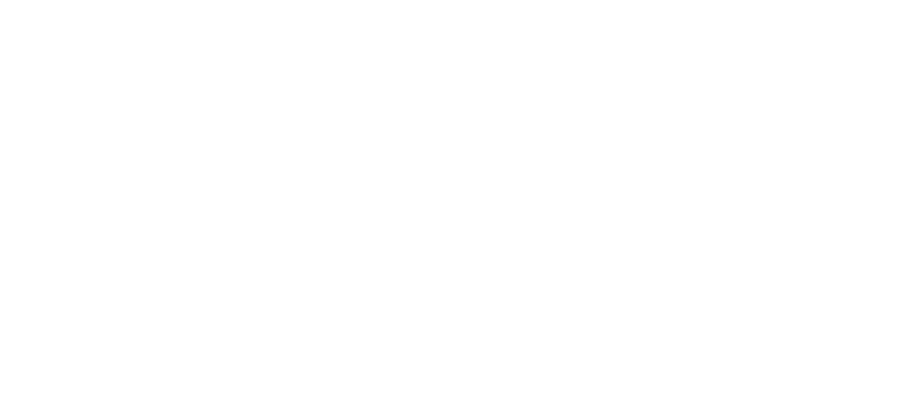 Fina