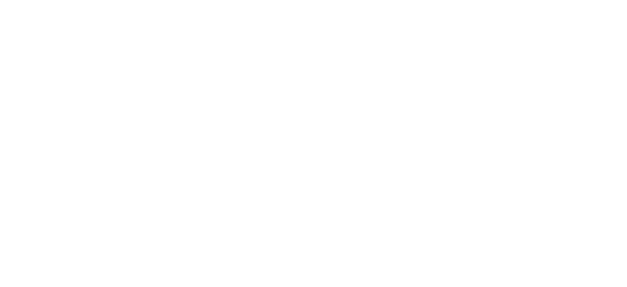 HZMO