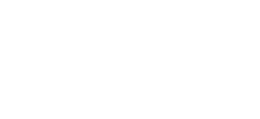 Sap Business One